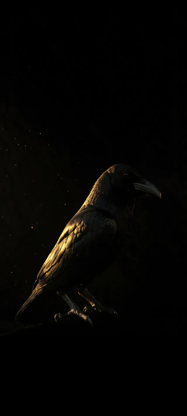 Solitary Raven Illuminated in Deep Darkness