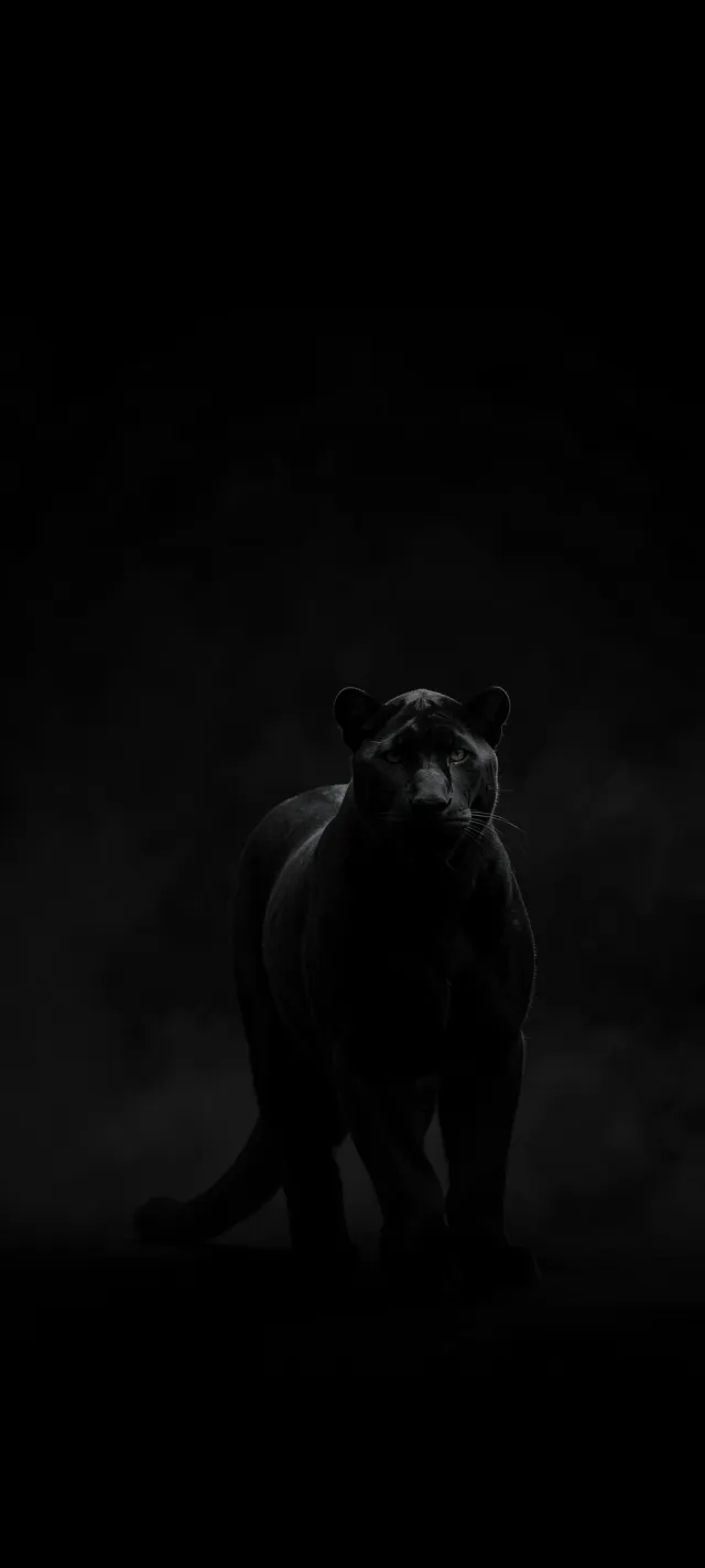 Silent Stride of the Midnight Predator