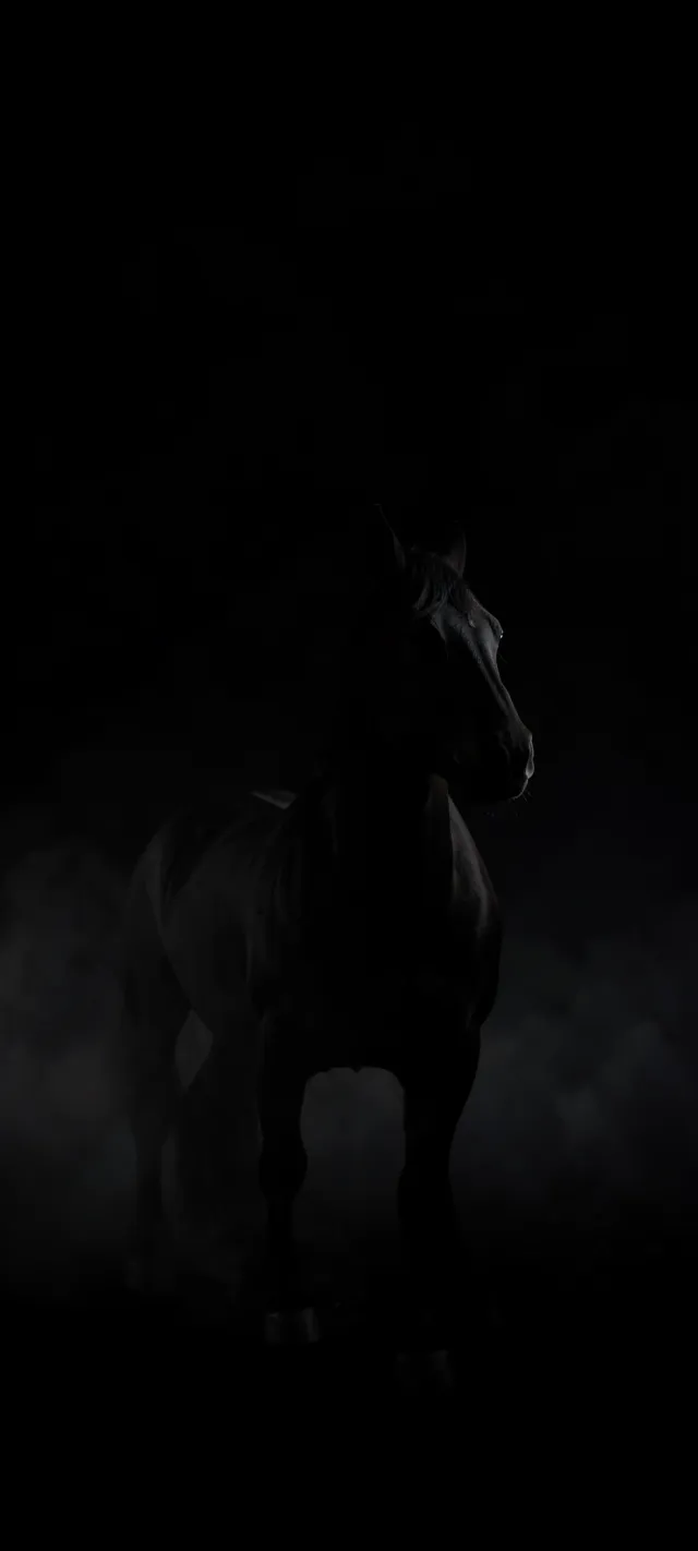 A Silent Silhouette Emerges From Darkness