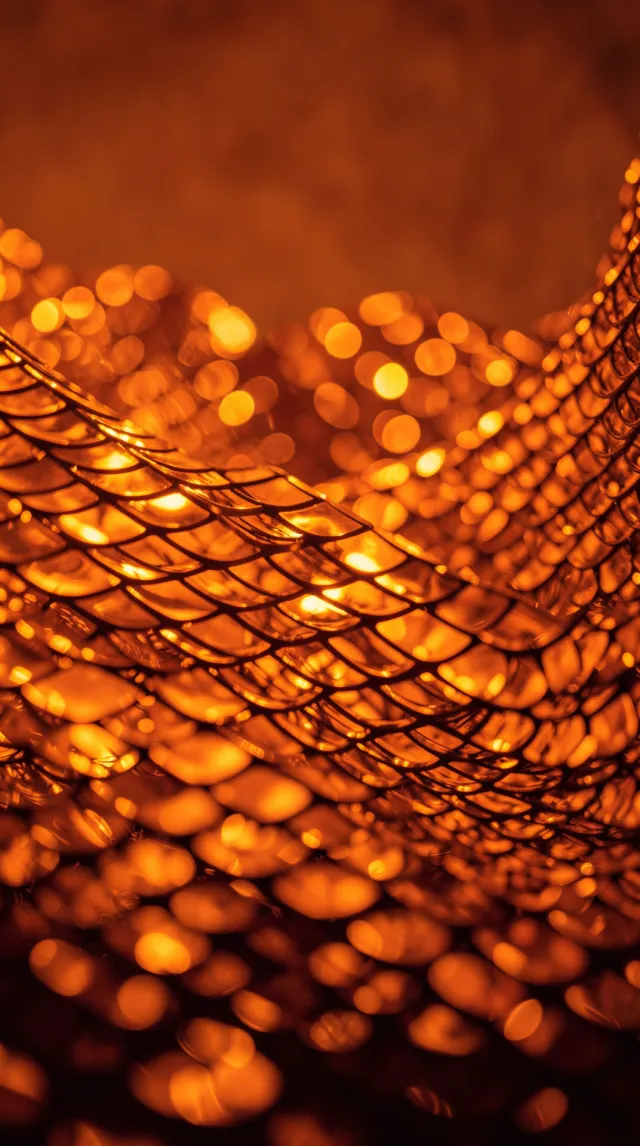 Amber Scales Under Liquid Light
