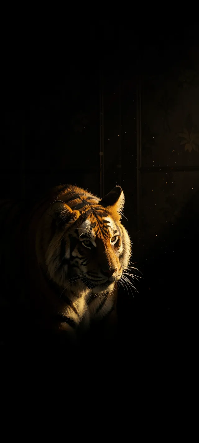 Majestic Tiger Emerging From Dark Shadows